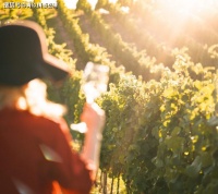 为什么说幸福的答案在自己身上？