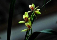 真正有头脑的人，遇到以下四种情况，表现很安静