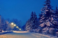 七绝•回乡逢雪路难行