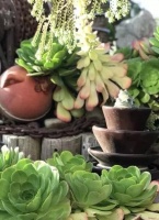 修行是细水长流，不是一下子就能到位的。