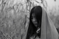 村上春树《挪威的森林》15句经典语录，人生孤独，现实残酷