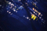 经典音乐：这首大提琴曲，创下全球点击率最高之一，播放量高达20亿！