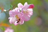 寒寒热热度春秋，古人眼中的春夏秋冬