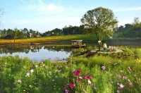 统编版_四年级语文上册:2、走月亮词语大全_14个同步生词