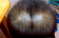 老祖宗的识人俗语： 一旋人、二旋鬼、三旋凶过鬼, 3岁看大