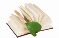 把所有的不快给昨天，把所有的希望给明天，把所有的努力给今天