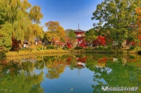 末那耶和阿赖耶