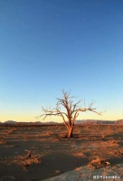 生活：大繁若简，大悟以钝