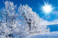 临江仙•云线牵花琼玉碎