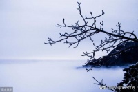 余秋雨最肉麻一首诗，少年用来表白，中年相濡以沫，晚年慢慢回忆