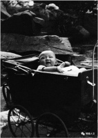 重温傅雷家书：真理、正义、人格等高于一切