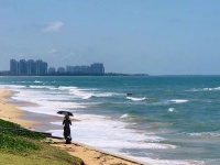 告别不平凡的2020（随笔）