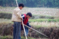 俗语：一旋人，二旋鬼，三旋凶过鬼，这是什么意思？你有旋吗？