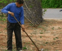 俗语： 门前横路渐渐了, 炊断粮空随时到, 啥意思 古人还真有讲究