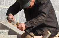 民间俗语：“春不捡鸡，冬不捡兔”，啥意思？背后有啥科学道理？