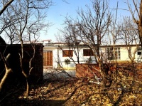 新年，寄给儿子的诗（随笔）