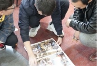 这些关于学习油画的技巧大家了解了吗？