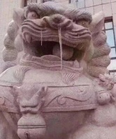 今日最佳：今天全国人民都长这样。