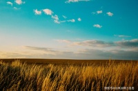 精力书单：告别艰难的2020，看这两本书