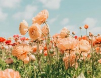 李晓伟：把自己活成那道光｜中原作家