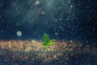 人，最怕什么？