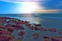 陈兴武的诗有哪些？陈兴武的诗词全集9首