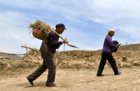 俗语“三十生毫, 四十衰, 四十生毫, 五十老”啥意思 有道理吗