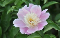 “人走背运，必有因果”，牢记这4句话，好运不请自来！