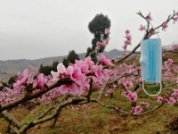 除了说一声——滚！我们又能怎么样呢？