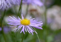 山长不觉路逍遥，水阔不感湿袖薄