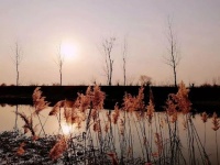 故乡的这些名字都将走向消失，我满心惶恐一片茫然，继而泪流满面