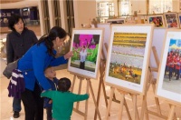 中山第十五届群众文化摄影作品展开幕