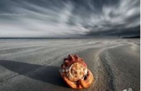 怎么走出生命与觉受的重复