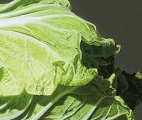 他随意画了两颗白菜，逼真似照片，白菜下面的半截砖引起专家注意