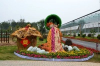 水调歌头·新年