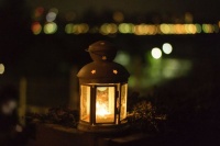 2021新年三愿：家人安康、岁月静好、初心不忘