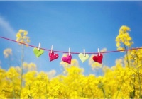 如何成为阳光的人