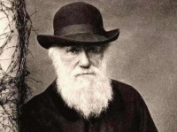 史前文明到底是不是真的？专家：历史或是轮回，进化论也许是臆想