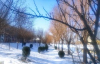 2021我的心愿(外七绝一首)