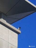 「专栏」任平生作品赏析：《心禅》（平起平收中华通韵）