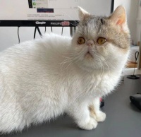 岁月匆匆又一年，愿新年，胜旧年