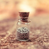 致教师：新的一年，愿你眉眼如初，明媚如故！