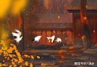 被杀害的动物，是怎么报复人类的！