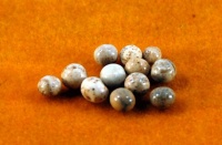 “有道高僧”才享有舍利子，它的成分究竟是什么？