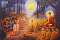 佛陀开示人生本无常，善有善报的故事，从根本上解脱