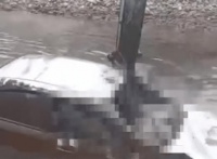 四川一水域打捞上2具遗体，已高度腐败，警方已介入调查