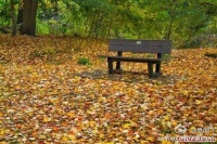 从情感中开悟解脱（一）