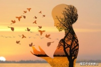 【美文悦读】爱的包裹