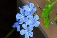 恋爱忠告：“别去追一个长期不发朋友圈的中年女人”