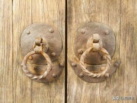 三月十四日闭关日记 |《法界之心》连载二十八